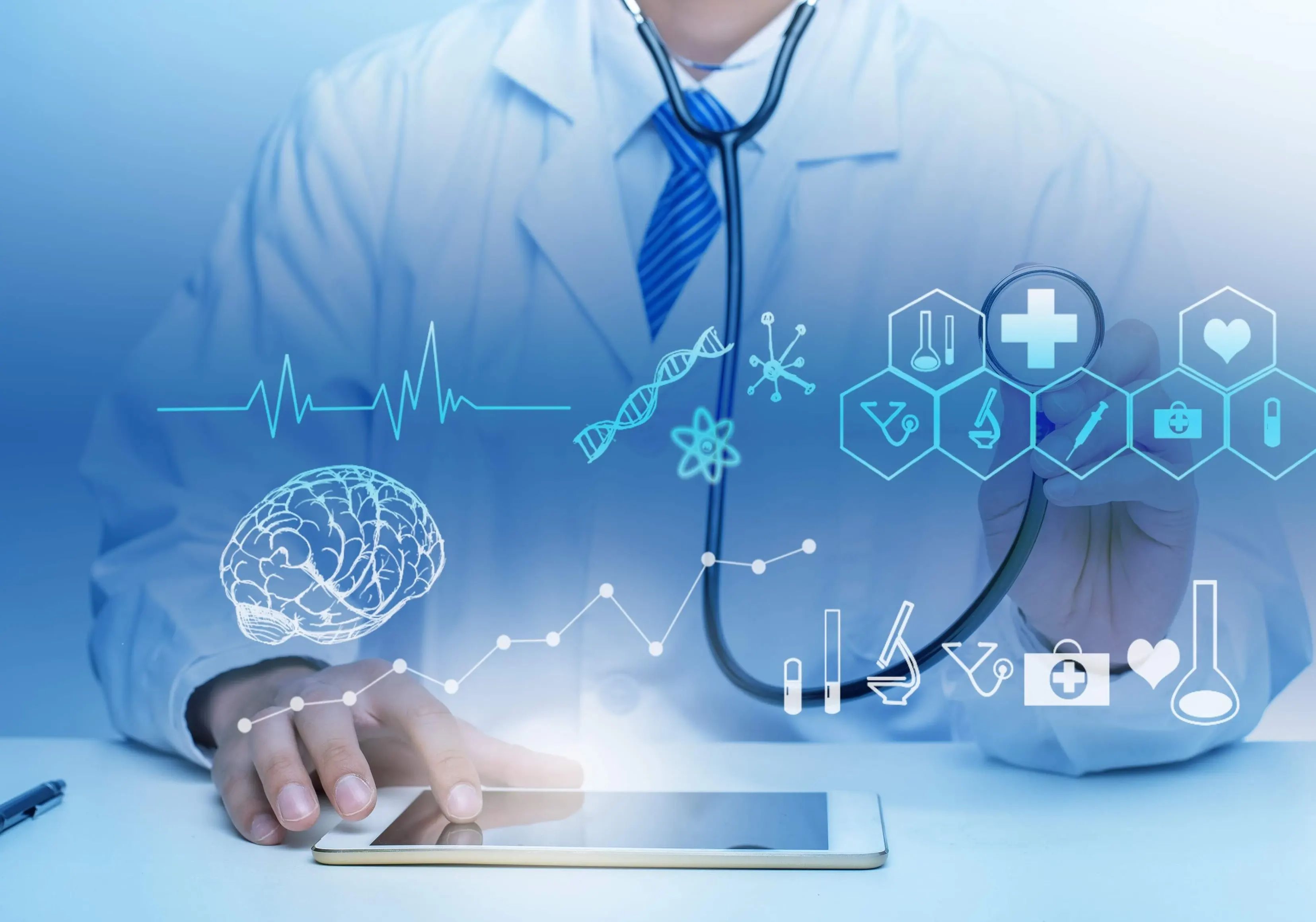 End To End software development service provider